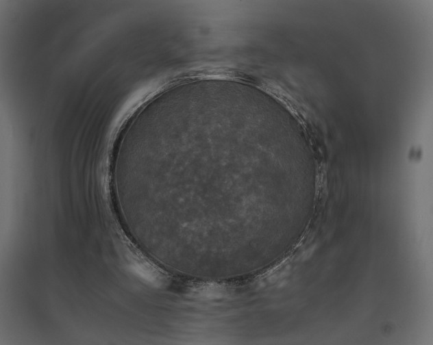 X0000094910293200711291302