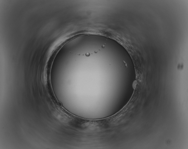 X0000094910294200711291302