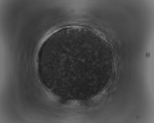 X0000094910295200711291302