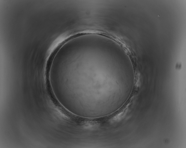 X0000094910296200711291302