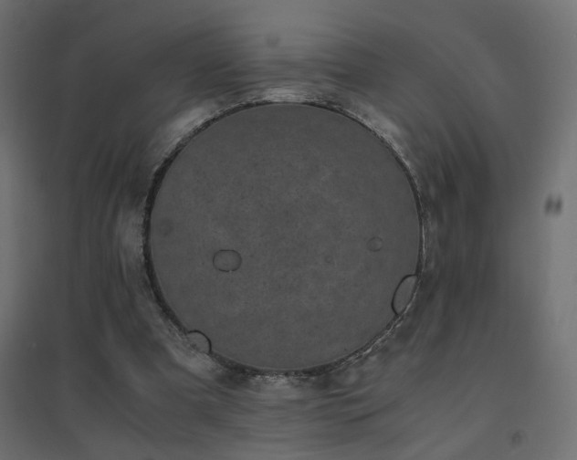 X0000094910297200711291302