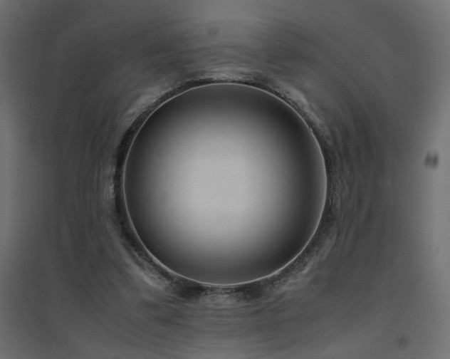 X0000094910299200711291302