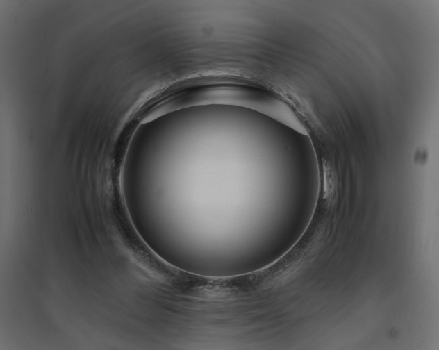 X0000094910300200711291302