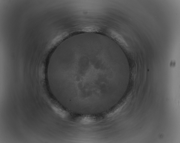 X0000094910303200711291302
