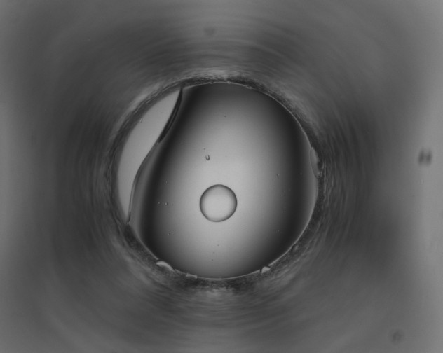 X0000094910304200711291302