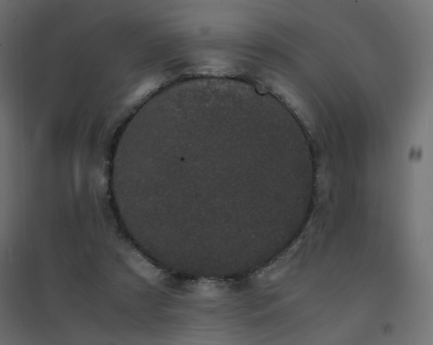 X0000094910305200711291302