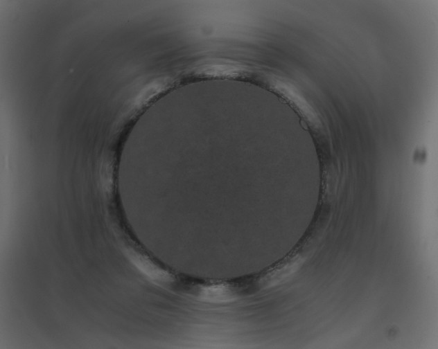 X0000094910309200711291302