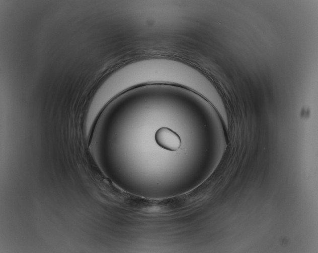 X0000094910312200711291302