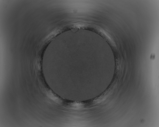 X0000094910313200711291302