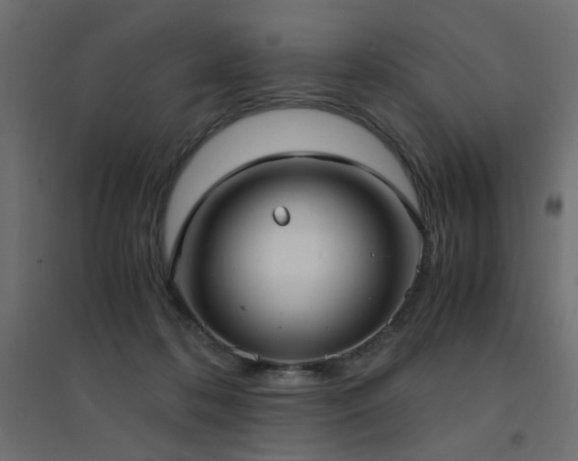 X0000094910316200711291301