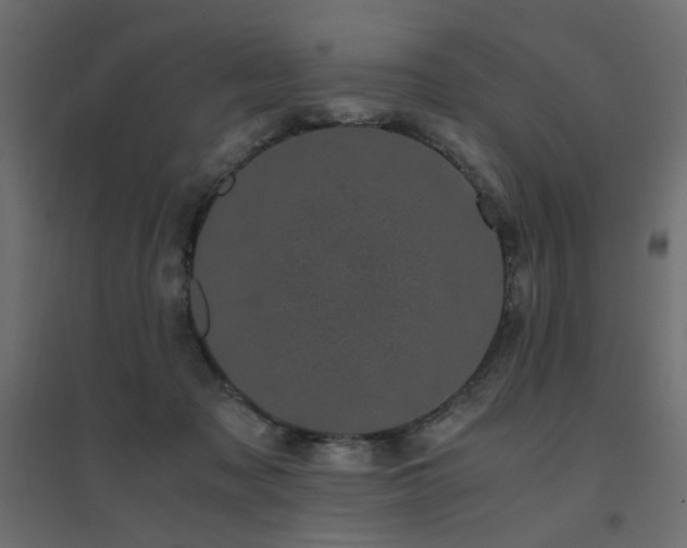 X0000094910317200711291301