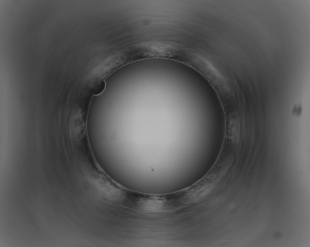 X0000094910318200711291301