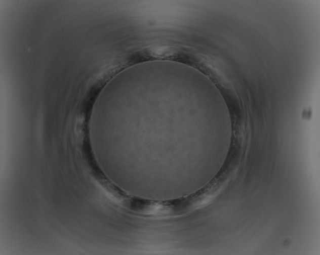 X0000094910319200711291301
