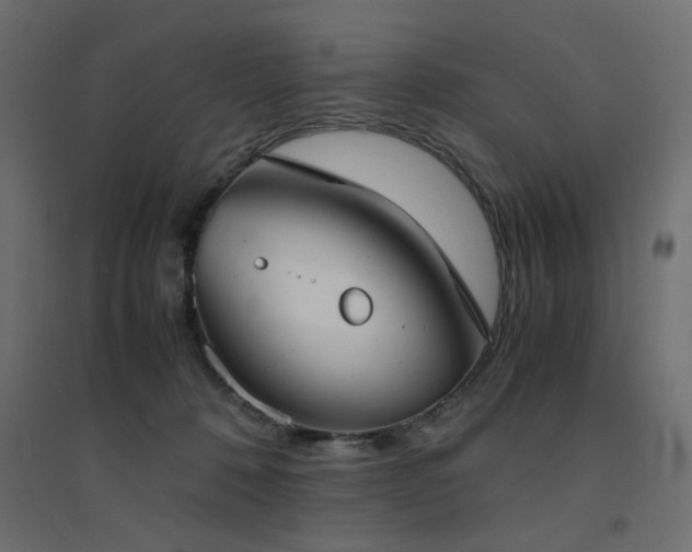 X0000094910320200711291301
