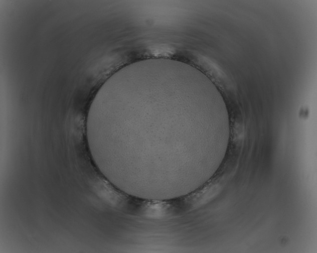 X0000094910321200711291301