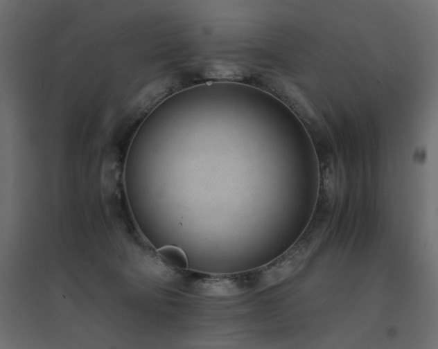 X0000094910322200711291301