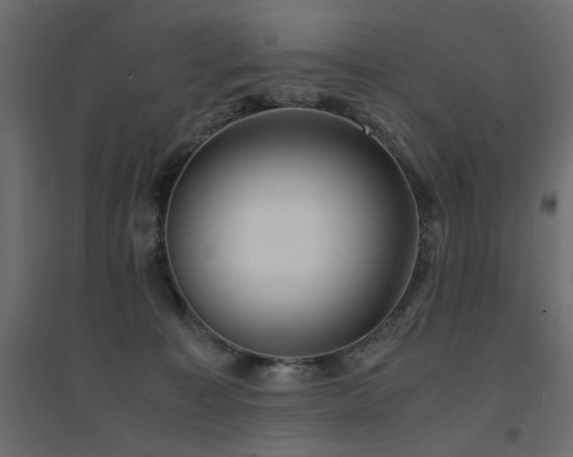 X0000094910323200711291301