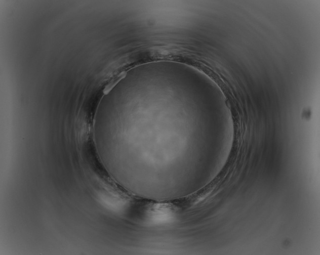 X0000094910324200711291301