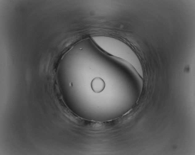 X0000094910325200711291301