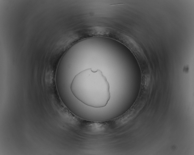 X0000094910326200711291301