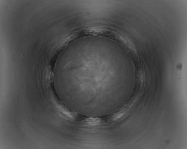 X0000094910328200711291301