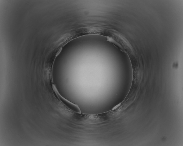 X0000094910329200711291301