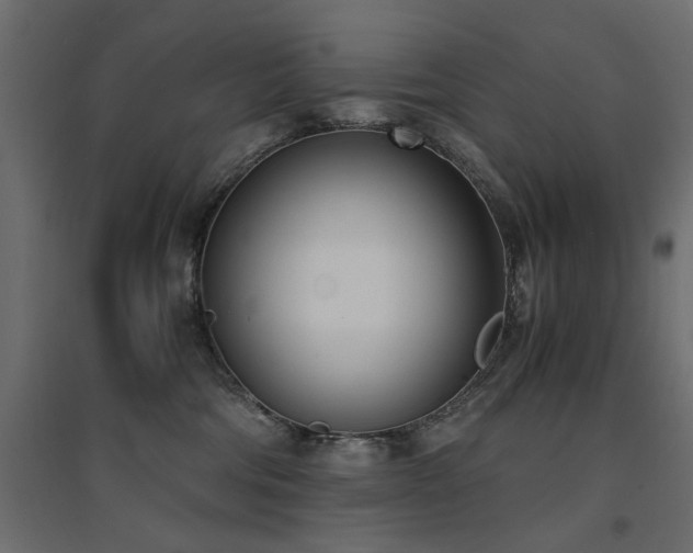 X0000094910330200711291301