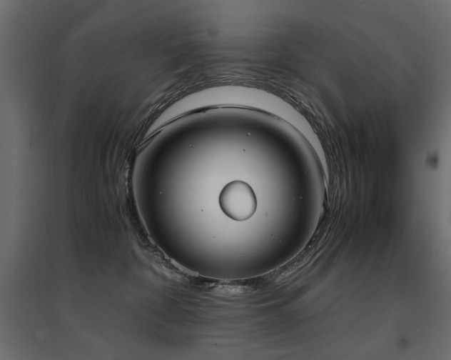 X0000094910332200711291301
