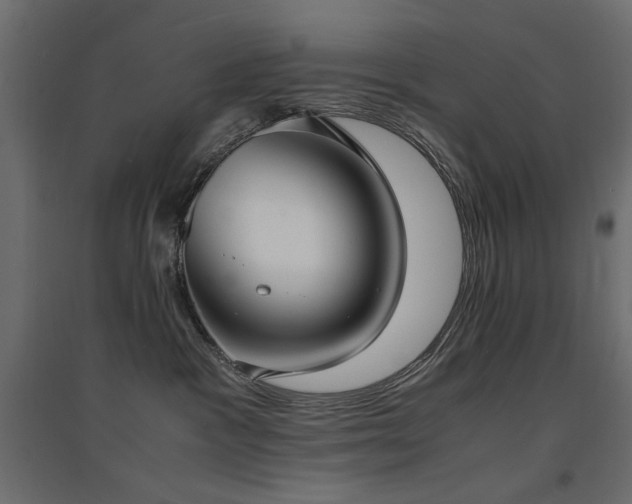 X0000094910333200711291301