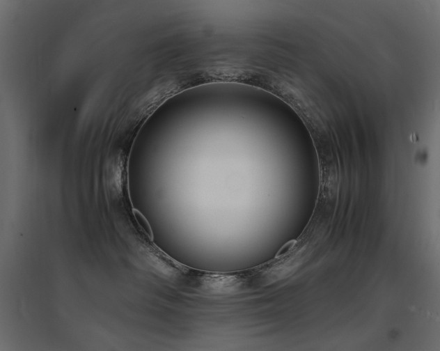 X0000094910334200711291301