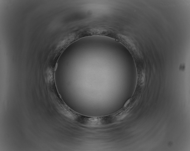X0000094910335200711291301