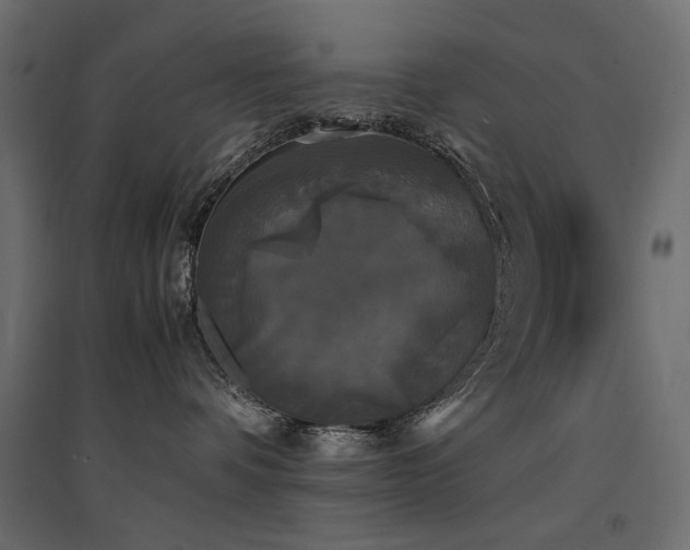 X0000094910336200711291301