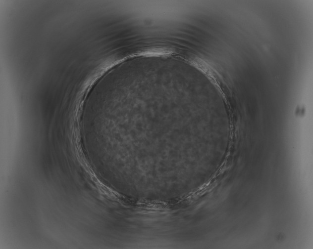 X0000094910337200711291301