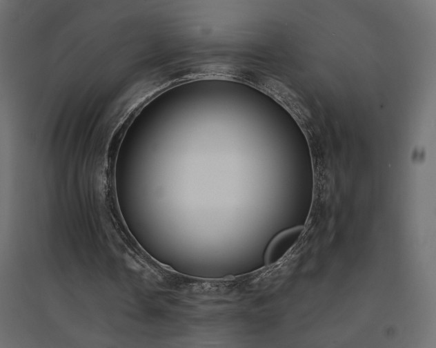 X0000094910338200711291301