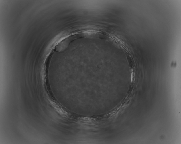 X0000094910339200711291301