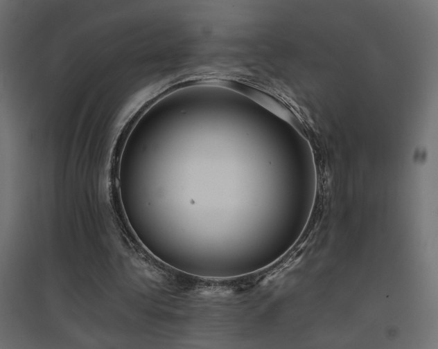 X0000094910340200711291301