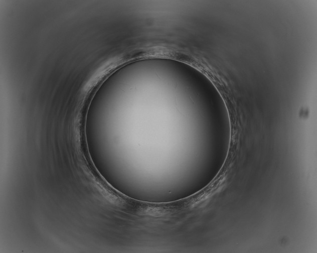 X0000094910341200711291301