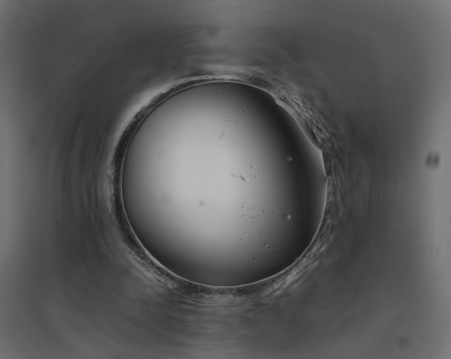 X0000094910342200711291301