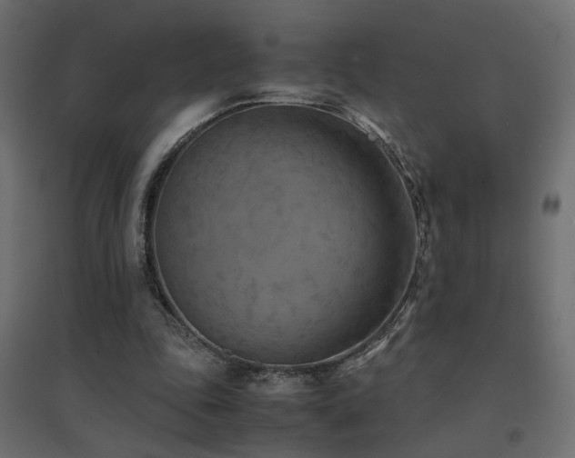 X0000094910343200711291301