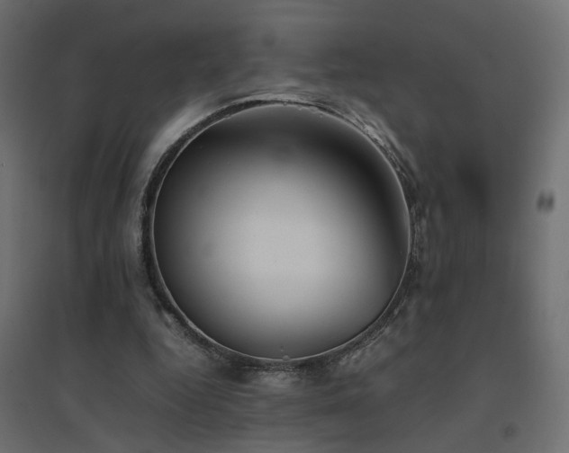 X0000094910344200711291301