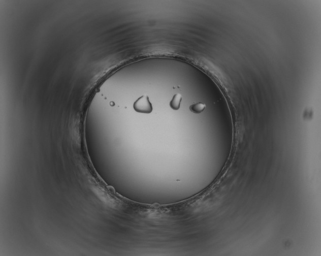 X0000094910345200711291301