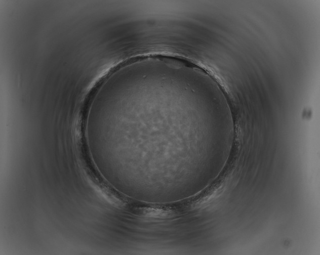 X0000094910347200711291301