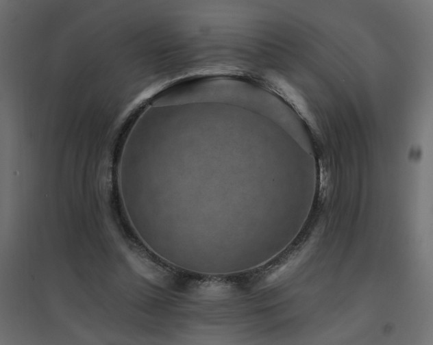 X0000094910348200711291301