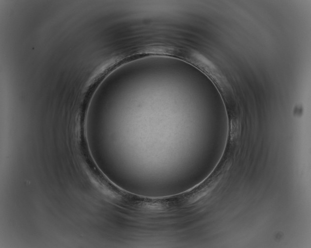 X0000094910349200711291301