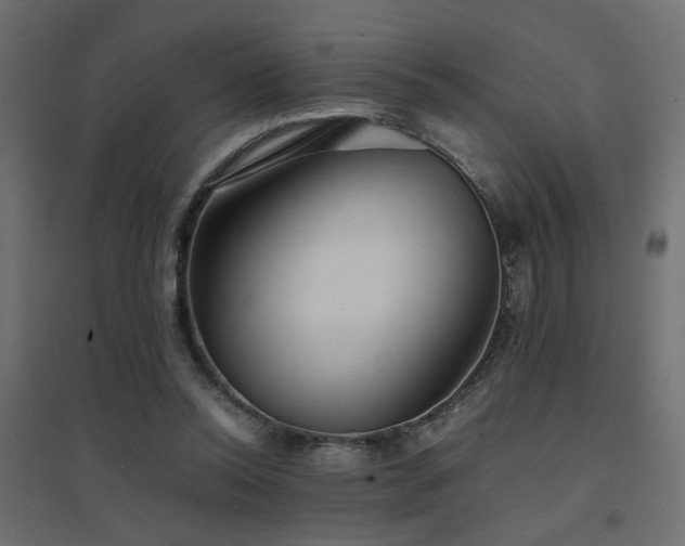 X0000094910350200711291301