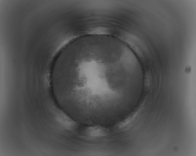 X0000094910351200711291301