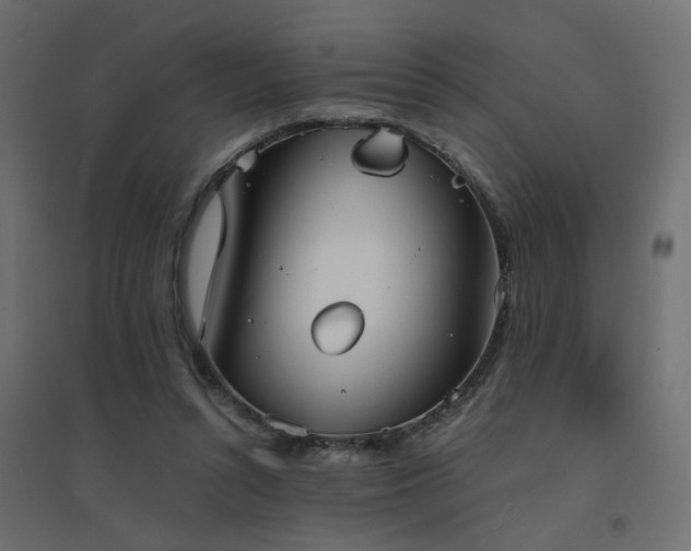 X0000094910352200711291301