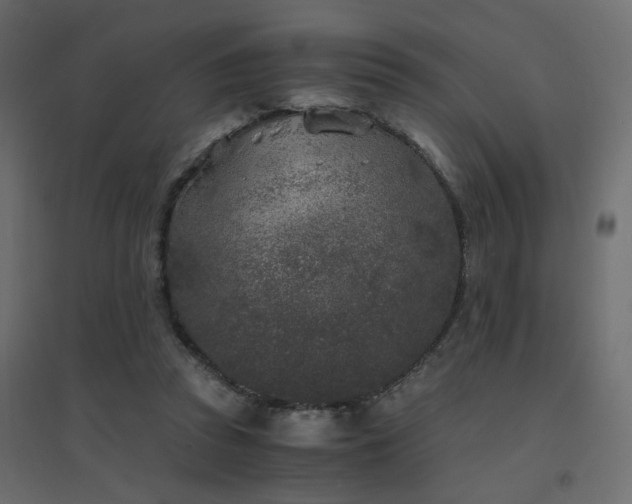 X0000094910353200711291301