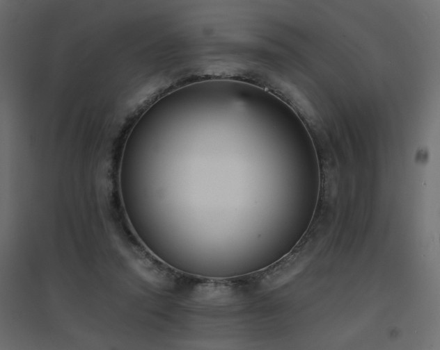 X0000094910354200711291301