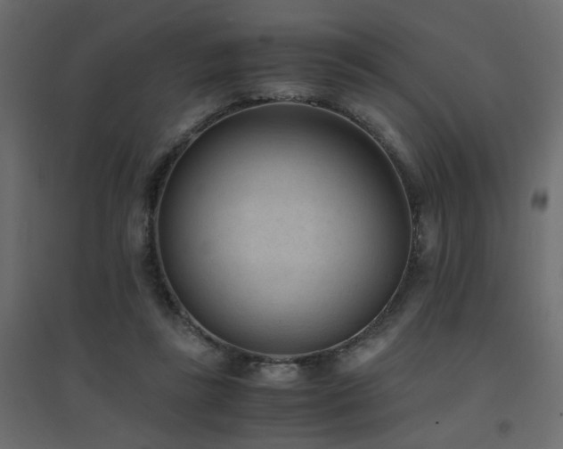 X0000094910355200711291301